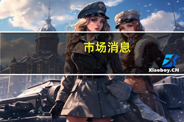 市场消息：美国国务卿布林肯会见以色列国防部长并讨论了以色列对哈马斯的回应