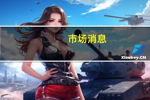 市场消息：阿联酋和新西兰开始就经济协定进行初步谈判