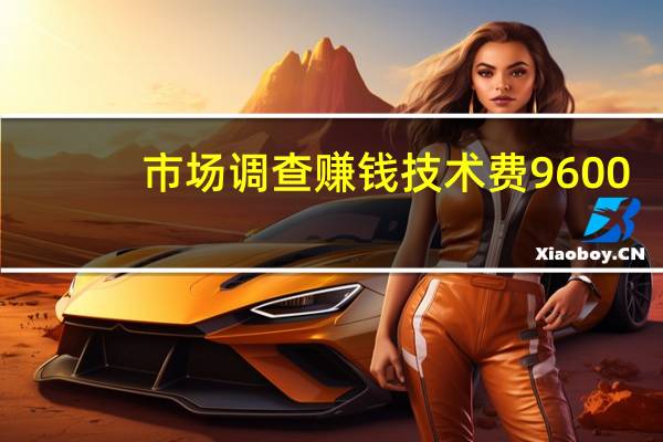 市场调查赚钱技术费9600（市场调查赚钱）