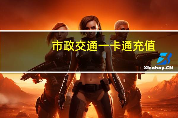 市政交通一卡通充值（市政交通一卡通能查询余额吗）