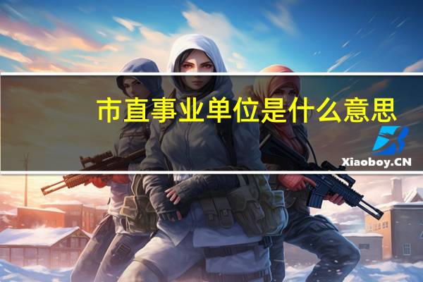 市直事业单位是什么意思