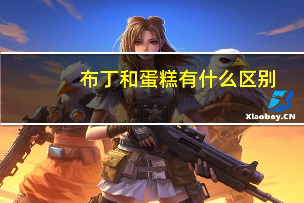 布丁和蛋糕有什么区别