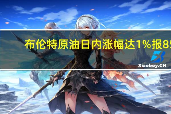 布伦特原油日内涨幅达1%报85.89美元/桶；WTI原油日内涨幅达1%报81.84美元/桶
