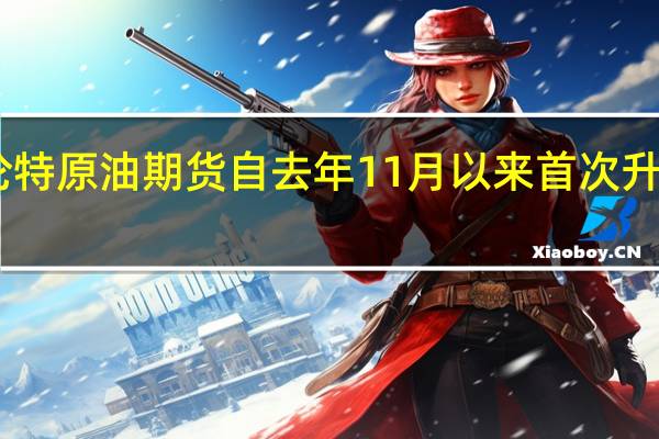 布伦特原油期货自去年11月以来首次升至95美元/桶