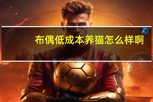 布偶低成本养猫怎么样啊