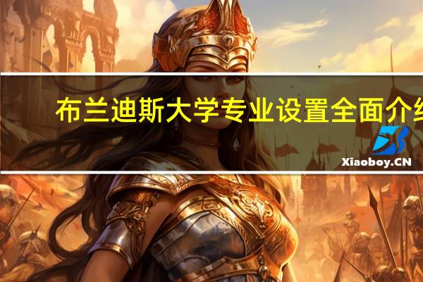 布兰迪斯大学专业设置全面介绍