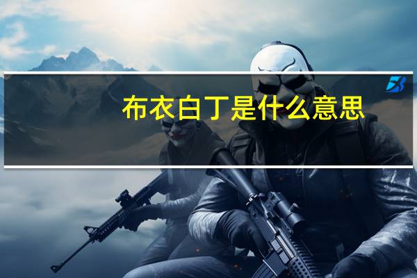 布衣白丁是什么意思