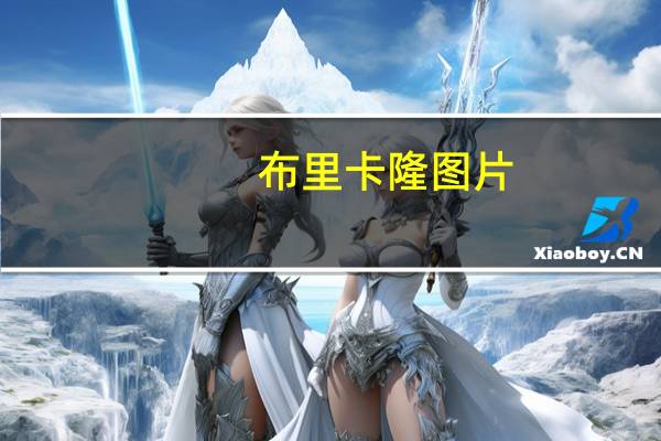 布里卡隆图片（布里卡隆）