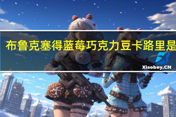 布鲁克塞得 蓝莓巧克力豆卡路里是多少