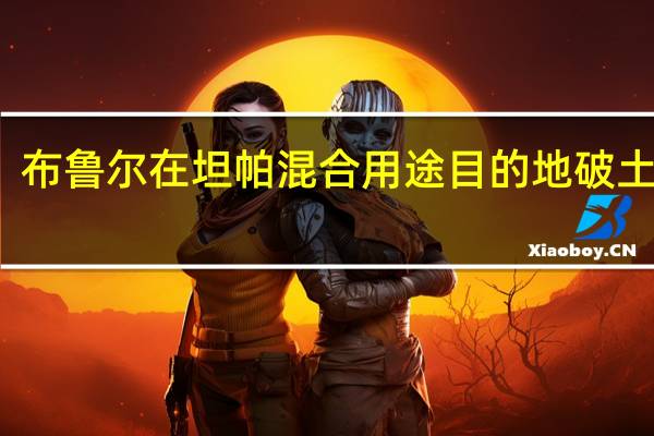 布鲁尔在坦帕混合用途目的地破土动工