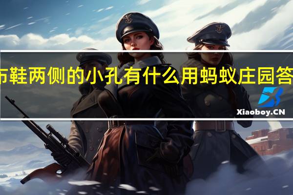 帆布鞋两侧的小孔有什么用 蚂蚁庄园答案帆布鞋