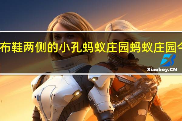 帆布鞋两侧的小孔蚂蚁庄园 蚂蚁庄园今日答案