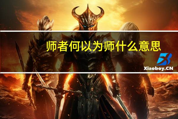师者何以为师什么意思