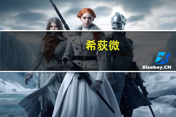 希荻微：拟使用超募资金回购公司股份