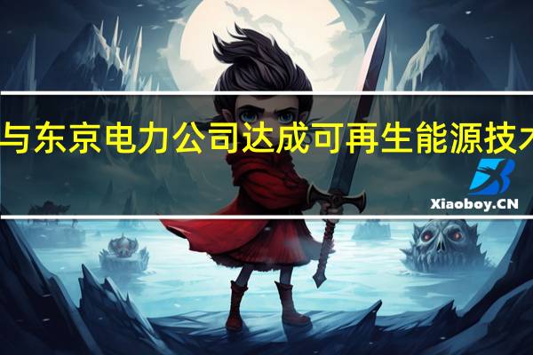 帕劳与东京电力公司达成可再生能源技术合作协议