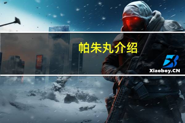 帕朱丸介绍