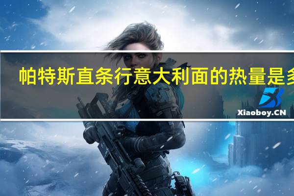 帕特斯 直条行意大利面的热量是多少