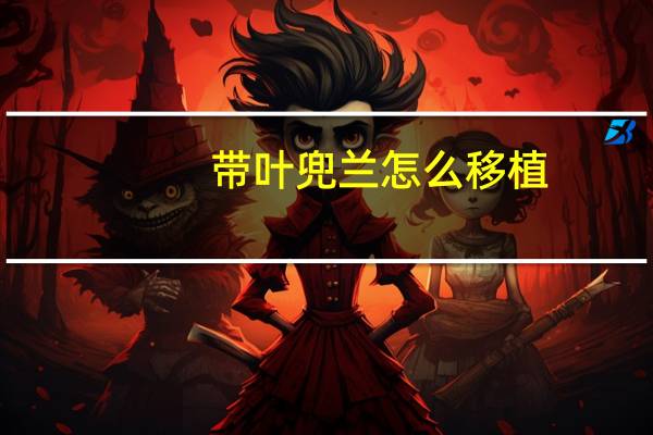 带叶兜兰怎么移植