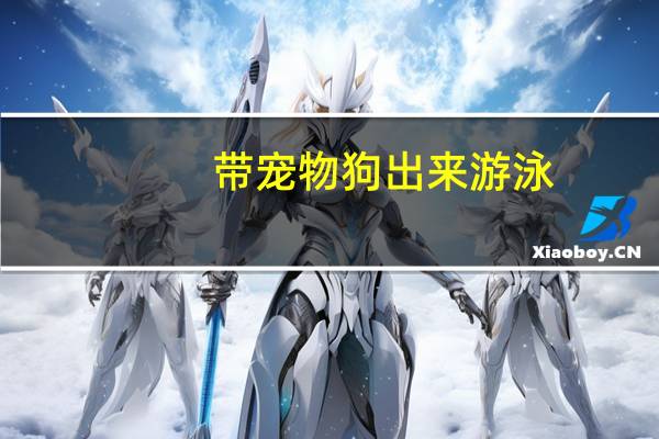 带宠物狗出来游泳