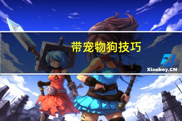 带宠物狗技巧