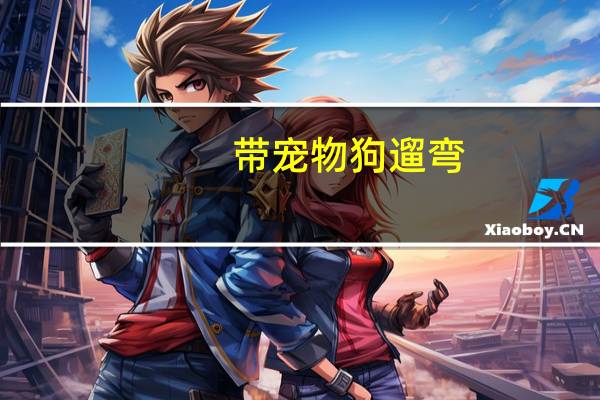 带宠物狗遛弯