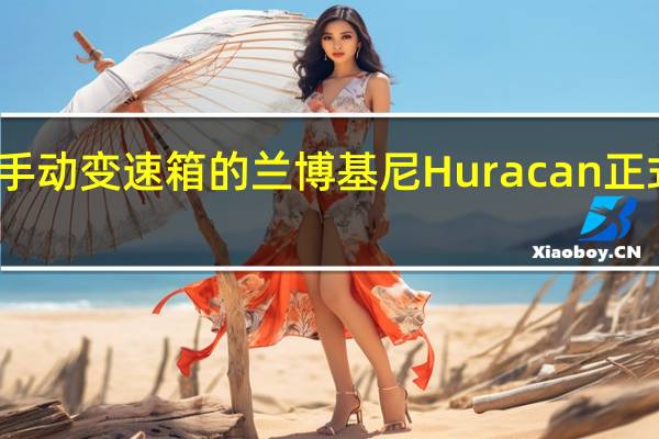 带有手动变速箱的兰博基尼Huracan正式是一回事