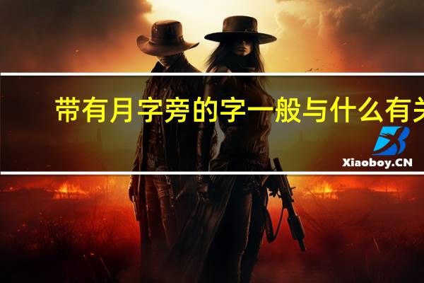 带有月字旁的字一般与什么有关