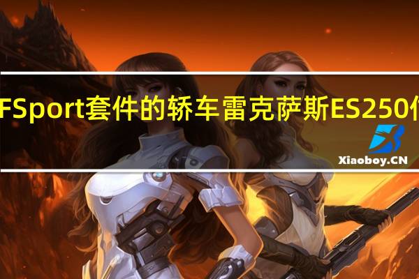 带有F Sport套件的轿车雷克萨斯ES 250估计为卢布