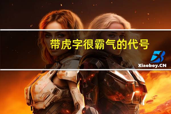 带虎字很霸气的代号