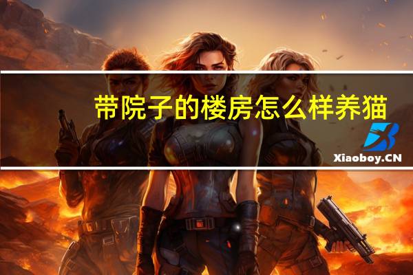 带院子的楼房怎么样养猫