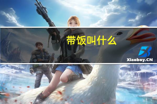 带饭叫什么（带饭包简介）