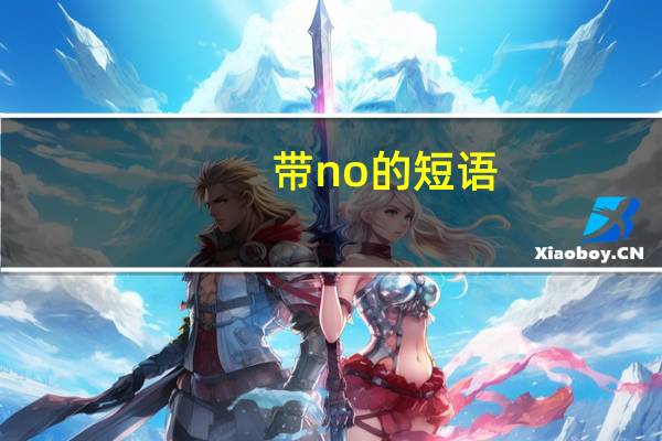 带no的短语