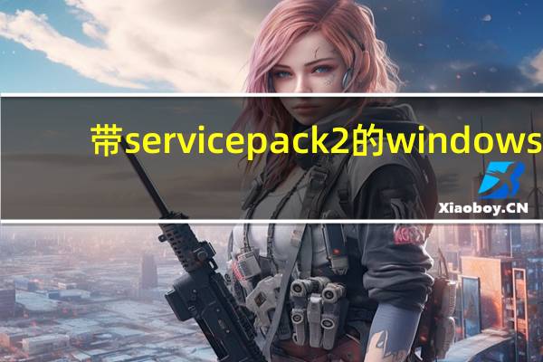 带service pack2的windows