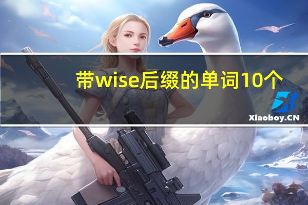 带wise后缀的单词10个