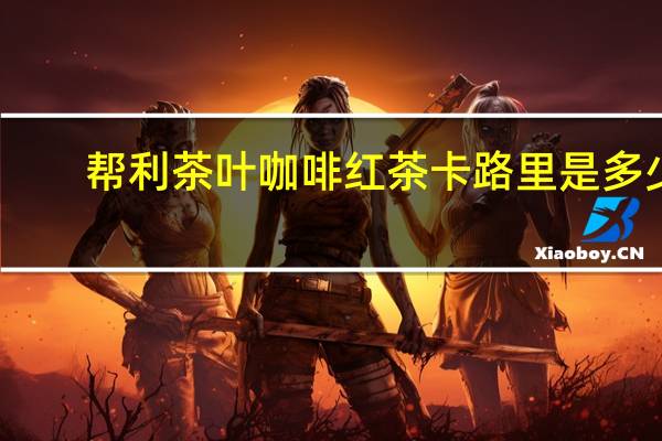 帮利茶叶 咖啡红茶卡路里是多少