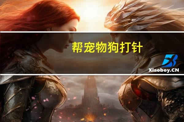 帮宠物狗打针