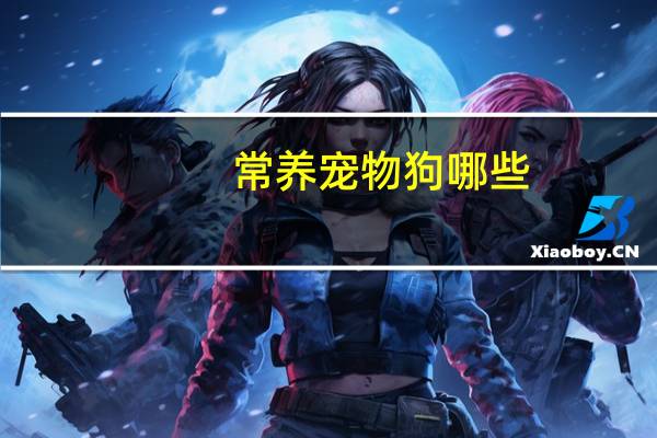 常养宠物狗哪些