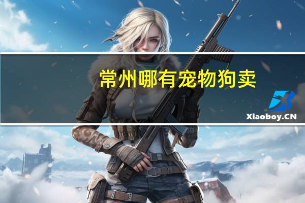 常州哪有宠物狗卖