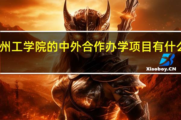 常州工学院的中外合作办学项目有什么优势呢