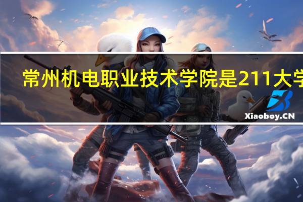 常州机电职业技术学院是211大学吗