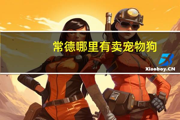 常德哪里有卖宠物狗