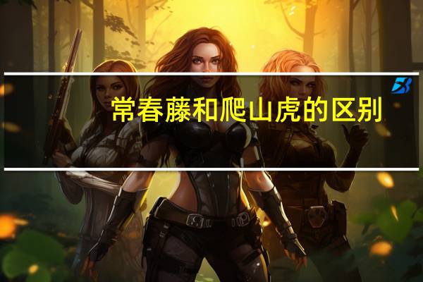 常春藤和爬山虎的区别
