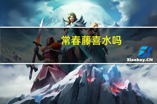 常春藤喜水吗