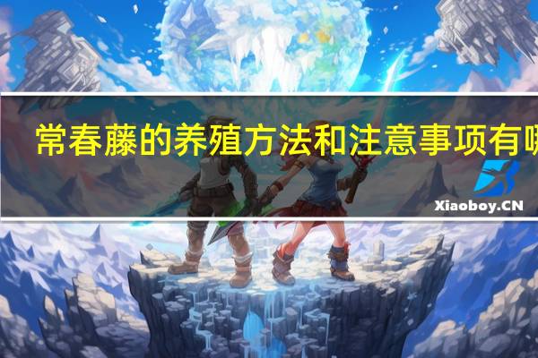 常春藤的养殖方法和注意事项有哪些