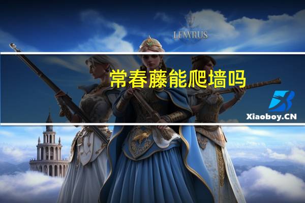 常春藤能爬墙吗