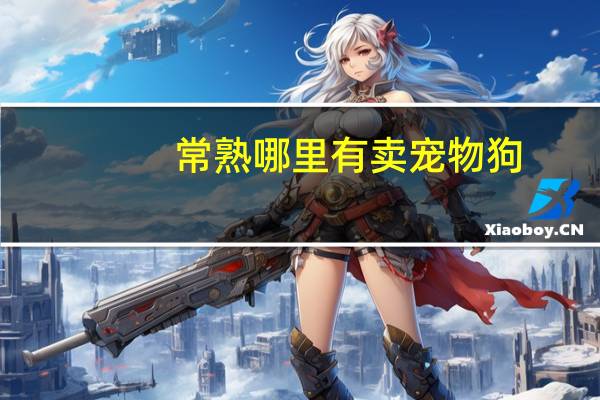 常熟哪里有卖宠物狗