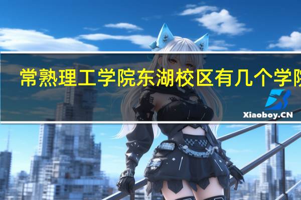 常熟理工学院东湖校区有几个学院啊