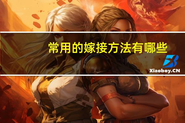 常用的嫁接方法有哪些