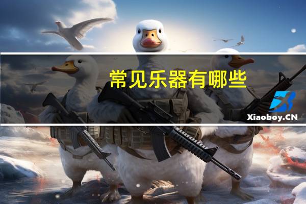 常见乐器有哪些