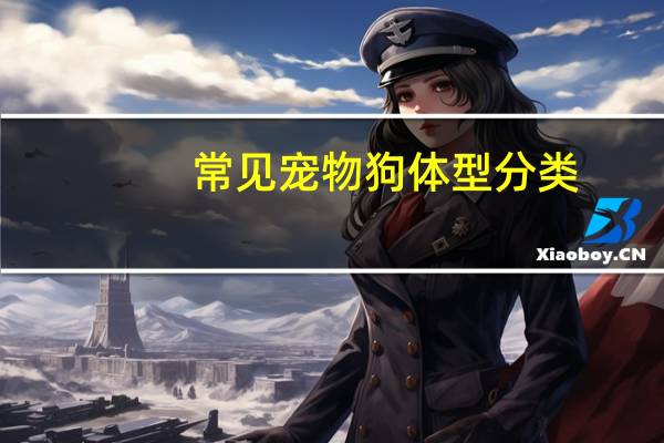 常见宠物狗体型分类